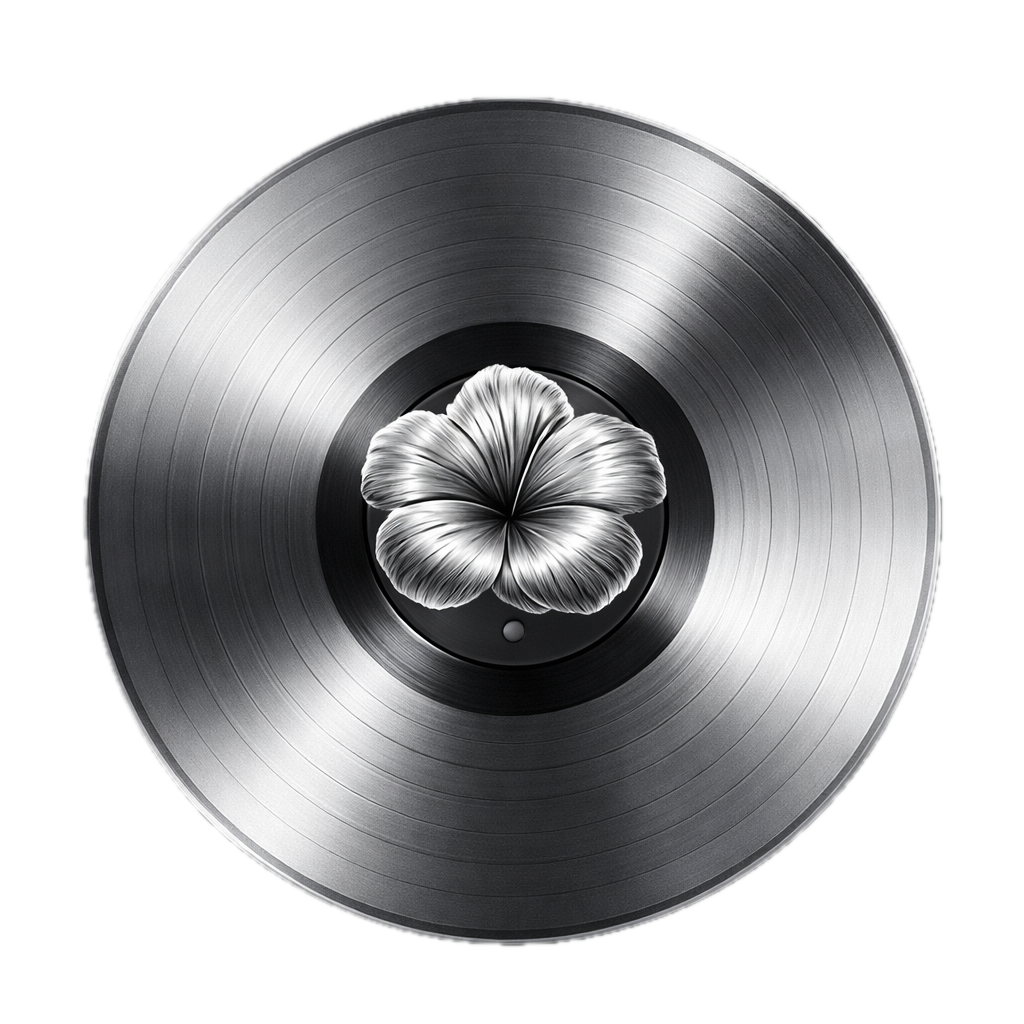 Vinilo Dasevi